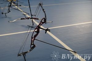 Открытие спортивно-оздоровительного комплекса «Стрелец» (фото)