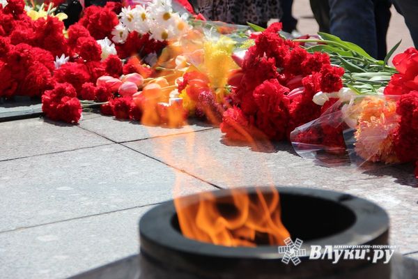 Более 300 поисковиков объединит Международная молодежная Вахта памяти в Невельском районе