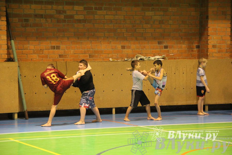 В Великих Луках прошел мастер-класс по кикбоксингу (фото)