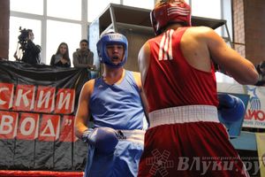 16-й Международный турнир по боксу (фото)