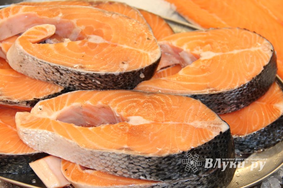 Такой рыбы нигде больше нет (ФОТО)