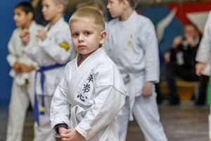 В ВеликихЛуках прошел учебно-методический семинар по каратэ и кобудо школы Дзюшин-рю кэмпо каратэ (фото)