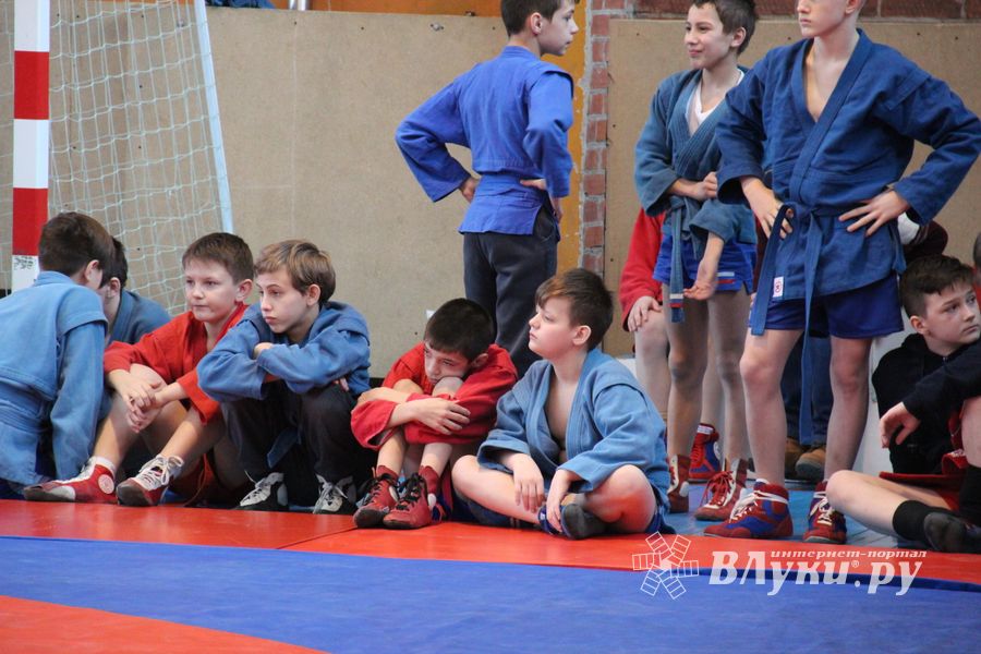 Великолукские самбисты завоевали 45 медалей на открытом первенстве города (ФОТО)