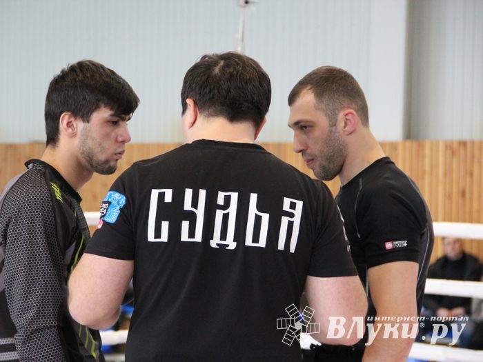 Открытый кубок по смешанному боевому единоборству ММА прошел в Великих Луках (ФОТО)