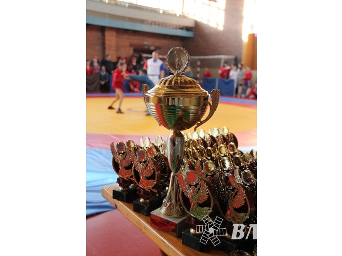 Великолучане завоевали награды турнира по самбо «Память» (ФОТО)