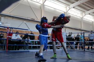 Фестиваль боевых искусств прошел в Великих Луках (ФОТО)