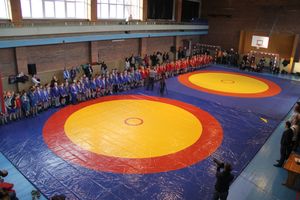 В Великих Луках прошел турнир по самбо "Память" (фото)