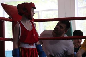 В Великих Луках завершился открытый турнир по боксу (ФОТО)