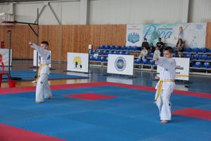 В Великих Луках состоялся Чемпионат и первенство Псковской области по тхэквондо МФТ (ФОТО)