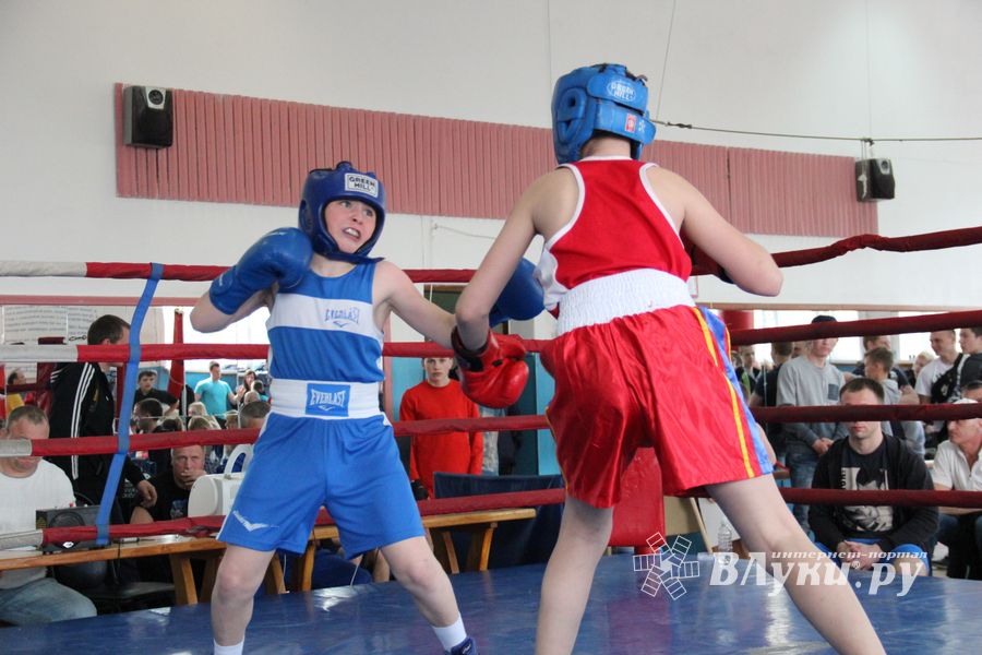 В Великих Луках прошло Первенство города по боксу (ФОТО)