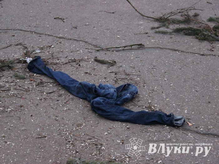 Необычное украшение сняли с главной ёлки Великих Лук (ФОТО)