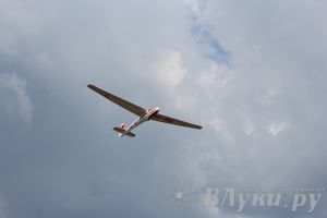 IV Фестиваль авиамодельного спорта России в классе радиоуправляемых моделей