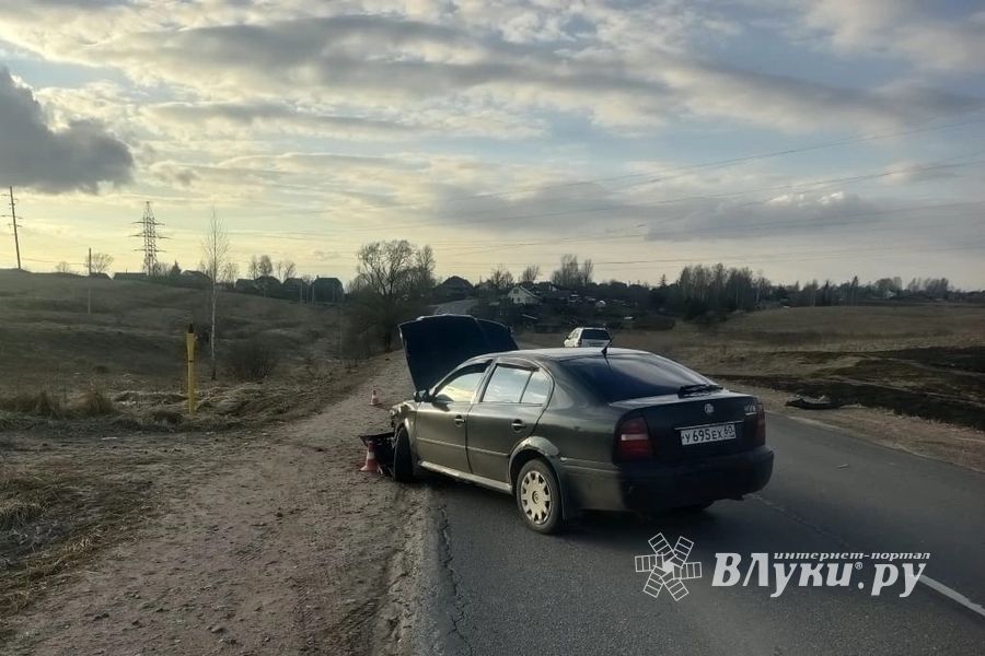 Фото: пресс-службы МО МВД России «Великолукский»