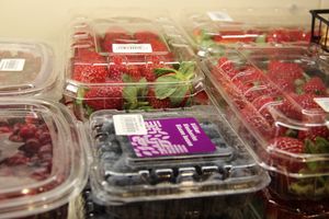 Такой рыбы нигде больше нет (ФОТО)