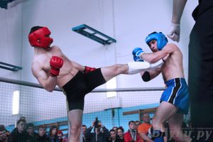 Первый чемпионат и первенство Псковской области по смешанным боевым искусствам «ММА»