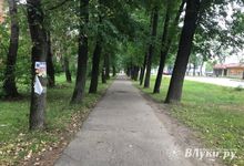 «Прибинтовали» скотчем (ФОТО)