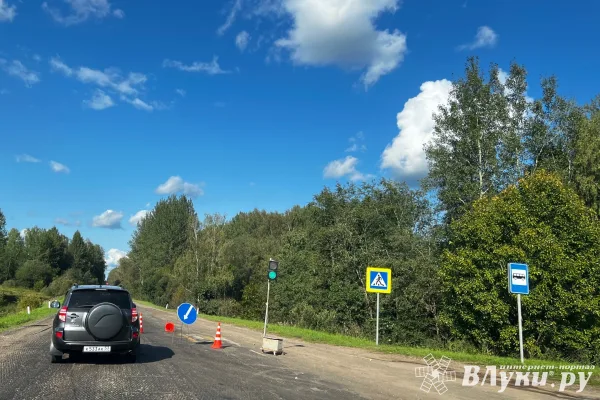 В Великолукском районе проводятся дорожные работы (ФОТО)