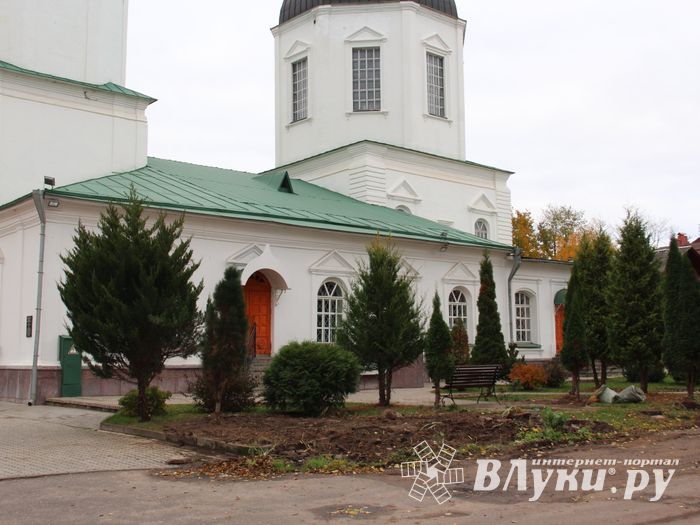 Куда исчезли пихты у Свято-Вознесенского собора в Великих Луках