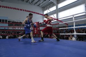 Матчевая встреча по боксу Великие Луки —Псков — Грозный (ФОТО)