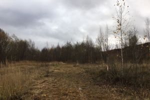 Переслегинские ребята сгибают «Подкову» (ФОТО)