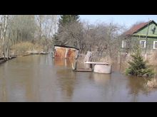 Водоплавающие завидуют сухопутным