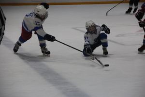 В Великих Луках прошел детский Открытый турнир по хоккею (ФОТО)