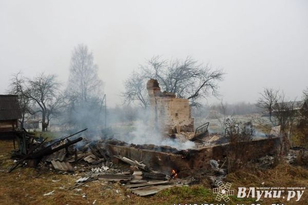 В деревне под Невелем сгорел дом (фото)