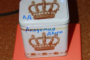 ​Фестиваль живой музыки «Арена фест» прошел в Великих Луках  (фото)