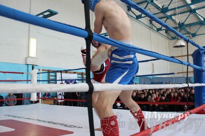 Чемпионат Псковской области по ММА