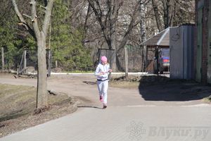 Весенний кросс