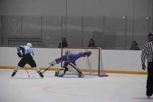 ХК «ЛукиСпорт» уступил «Барсам» (ФОТО)