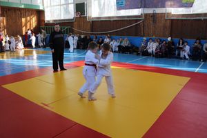 Юные великолучане приняли участие в турнире по дзюдо «Крепыш» (ФОТО)
