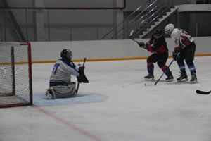 Две победы у великолукских хоккейных команд (ФОТО)