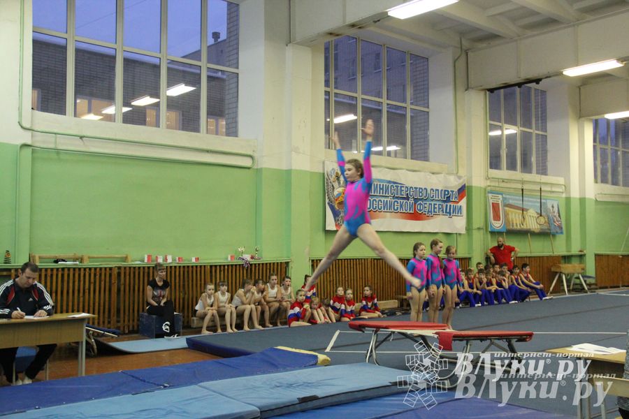 В Великих Луках состоялось Первенство по командной гимнастике (фото)