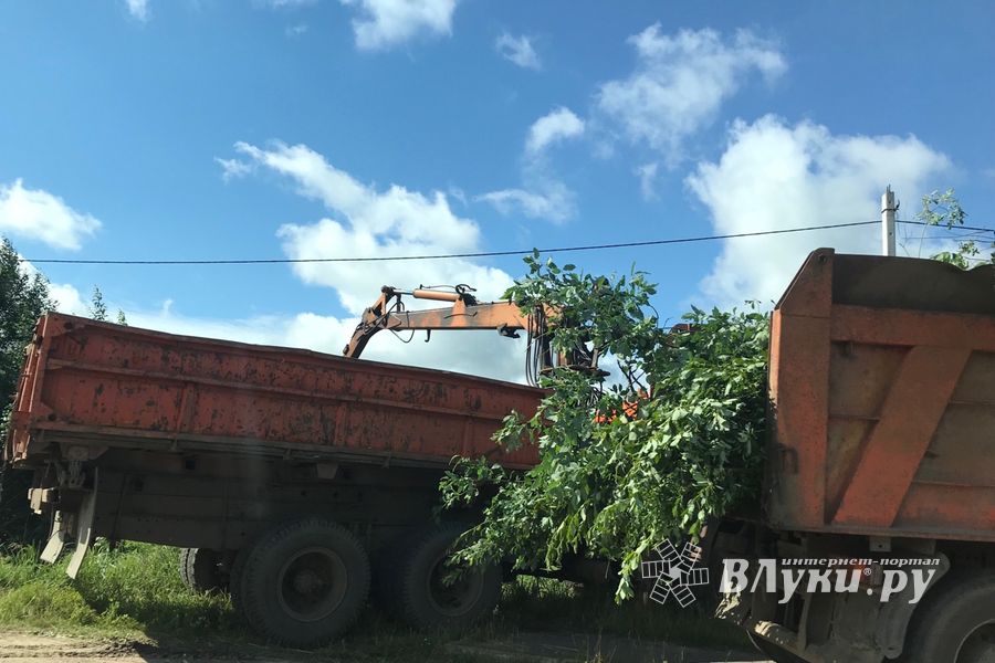 Дачников Великих Лук порадовали районные дорожники (ФОТО)