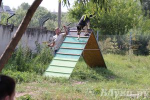 День открытых дверей на спортивно-дрессировочной площадке