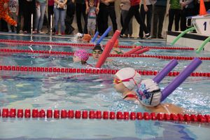 Соревнования по плаванию на призы Деда Мороза прошли в Великих Луках (ФОТО)