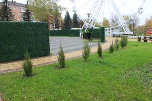 Теперь и в Великих Луках есть что потереть на удачу (ФОТО)