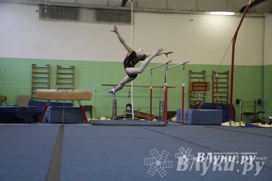 В Великих Луках прошло Первенство Области по спортивной гимнастики (фото)