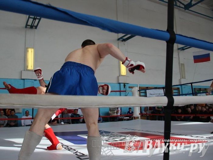 Чемпионат Псковской области по ММА