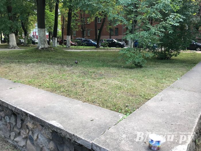 Парк Пушкина: «... А вкруг меня глухое запустенье...» (ФОТО)