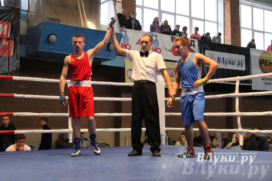 16-й Международный турнир по боксу (фото)