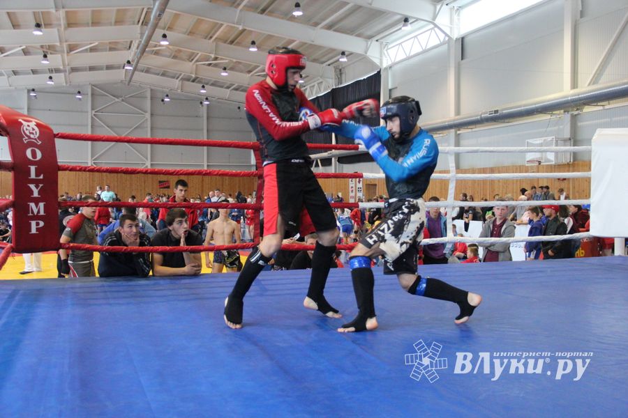 1-й Фестиваль боевых искусств состоялся в Великих Луках  (ФОТО)