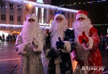 Дождик не помешал открытию городской ёлки (ФОТО)