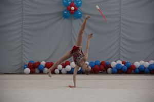 ​В Великих Луках прошли соревнования по художественной гимнастике (ФОТО)