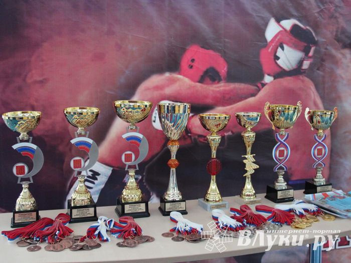 В Великих Луках завершился открытый кубок по смешанному боевому единоборству ММА (ФОТО)