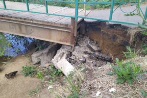 Великолучанка написала губернатору про «загубленную речушку» (ФОТО)