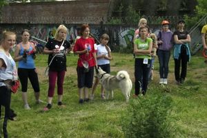 В Великих Луках прошли спортивные соревнования среди собаководов (ФОТО)