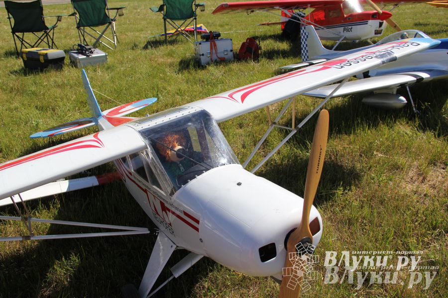 В Великих Луках прошел Фестиваль авиамодельного спорта (фото)