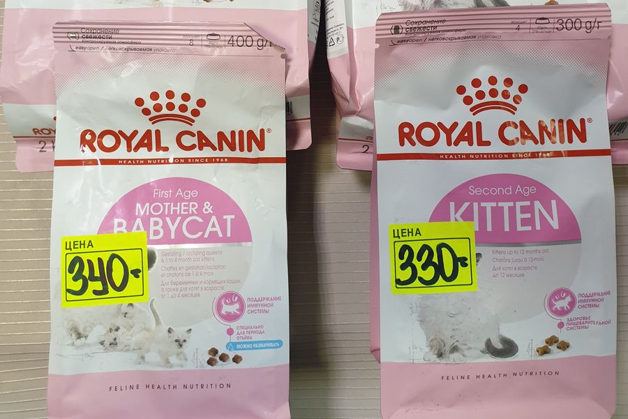 1 марта - ваш кот заслуживает подарок